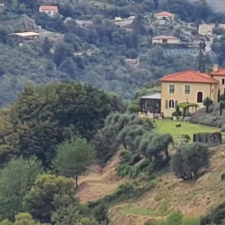 Вилла Domaine Elea Ницца